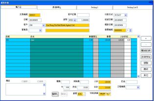 會計(jì)、核數(shù)與簿記 數(shù)字化時代的技術(shù)支持與軟件開發(fā)